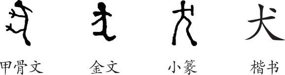 狗字的演变过程图片