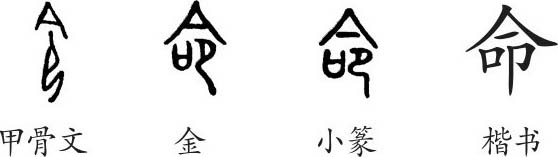 命 字义 命 字的字形演变 小篆隶书楷书写法 命 说文解字 品诗文网