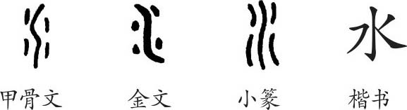 水字的演变过程手抄报图片